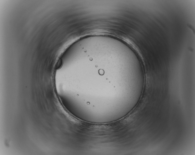 X0000101661429200807241408