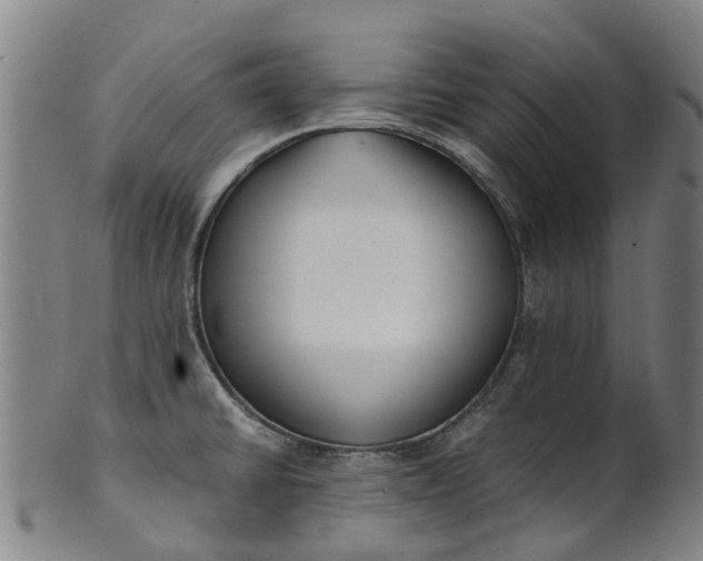 X0000101661430200807241408