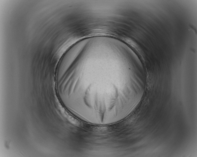 X0000101661431200807241408