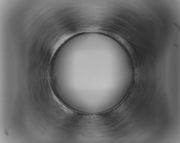 X0000101661432200807241408