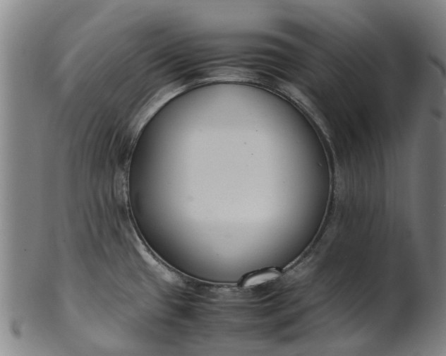 X0000101661433200807241408