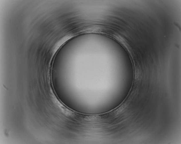 X0000101661434200807241408