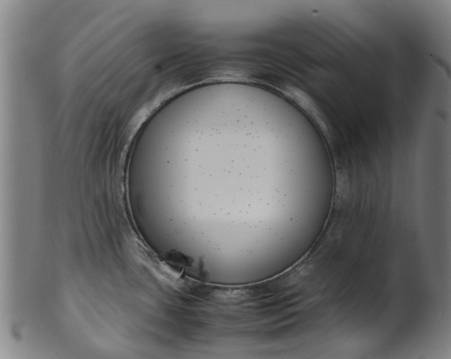 X0000101661435200807241408