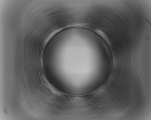 X0000101661436200807241408