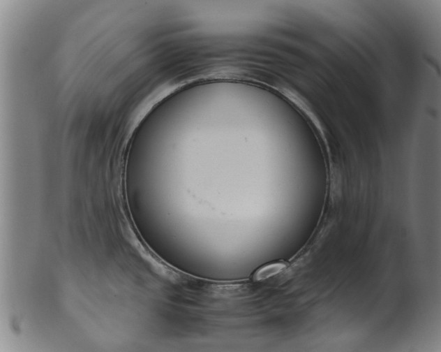 X0000101661437200807241408