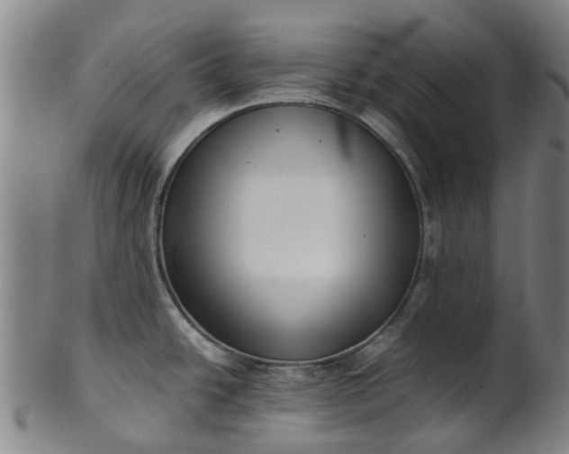 X0000101661438200807241408