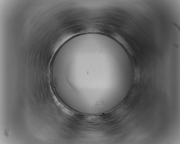 X0000101661439200807241408