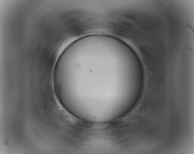 X0000101661440200807241408