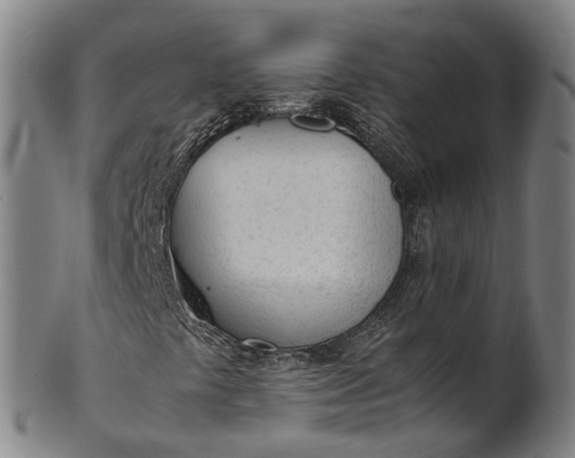 X0000101661441200807241407