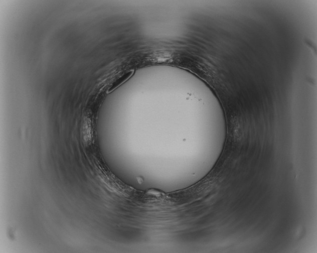 X0000101661442200807241407