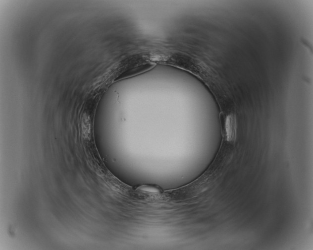 X0000101661443200807241407