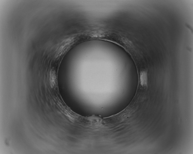 X0000101661444200807241407