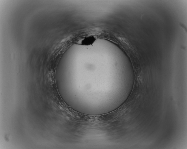 X0000101661445200807241407