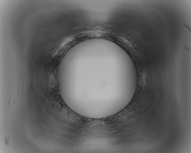 X0000101661446200807241407