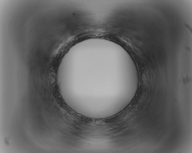 X0000101661447200807241407