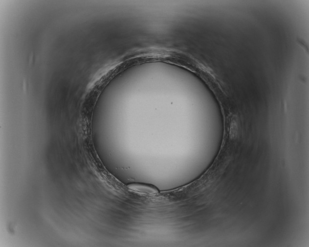 X0000101661448200807241407