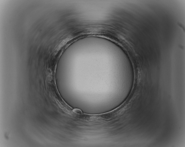 X0000101661449200807241407