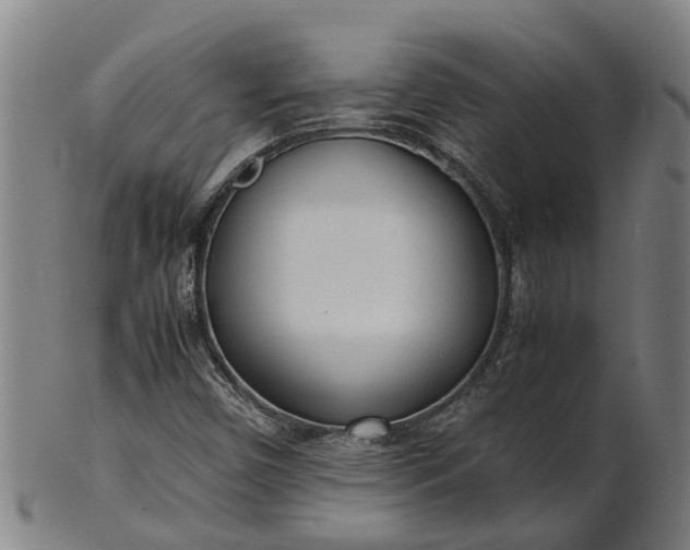 X0000101661450200807241407