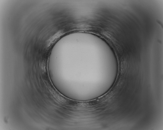 X0000101661451200807241407