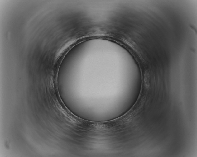 X0000101661452200807241407