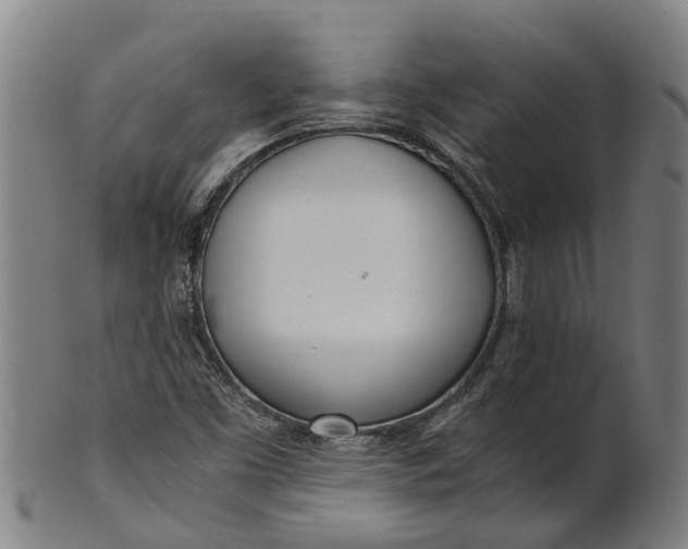 X0000101661453200807241407