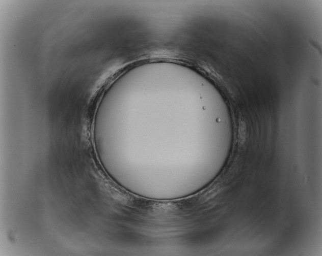 X0000101661454200807241407