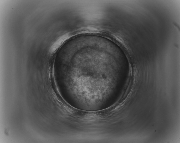 X0000101661455200807241407