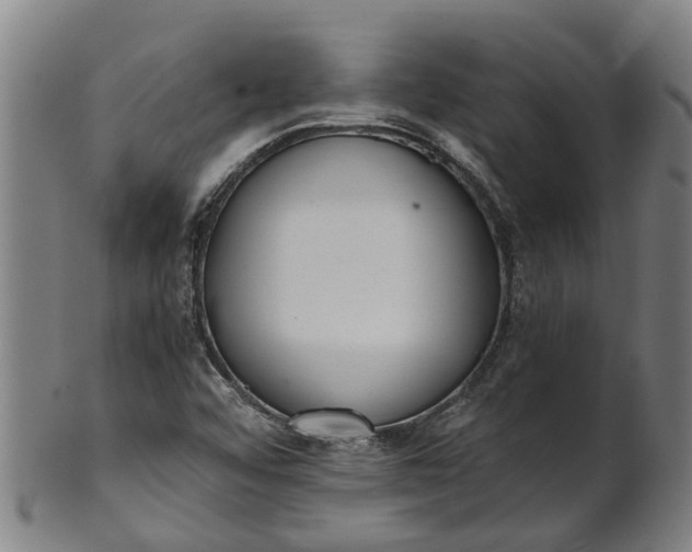 X0000101661456200807241407