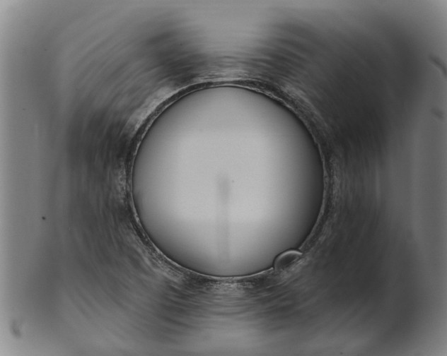 X0000101661457200807241407