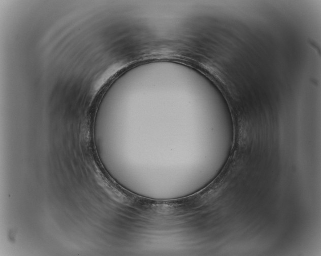 X0000101661458200807241407