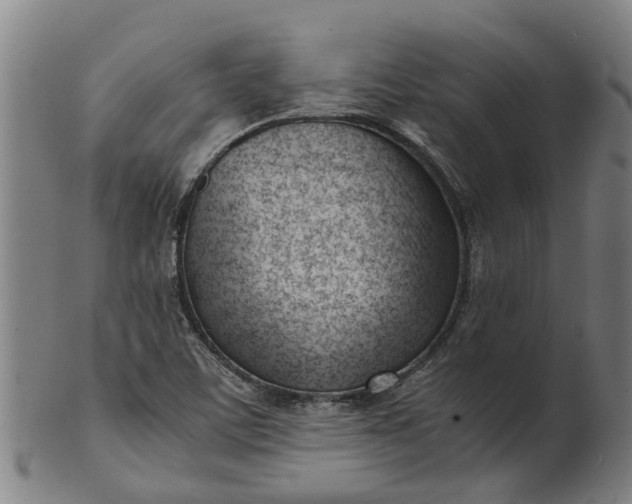 X0000101661459200807241407