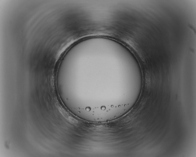 X0000101661460200807241407