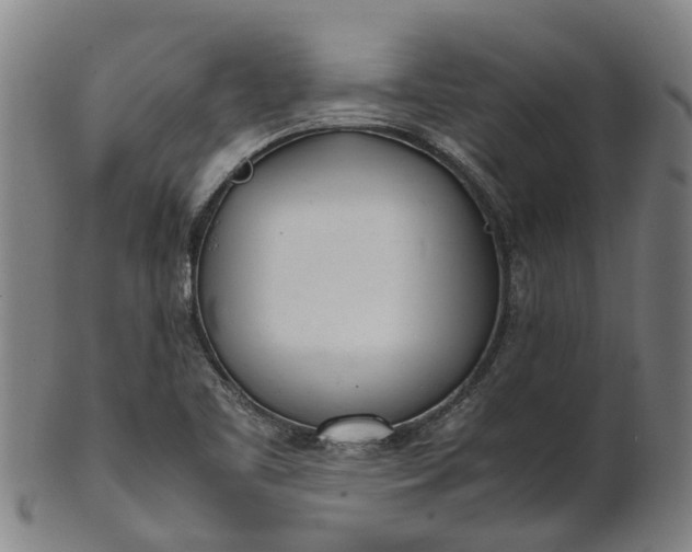 X0000101661461200807241407