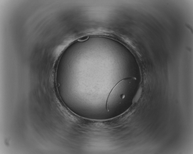 X0000101661463200807241407