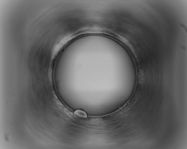 X0000101661464200807241407