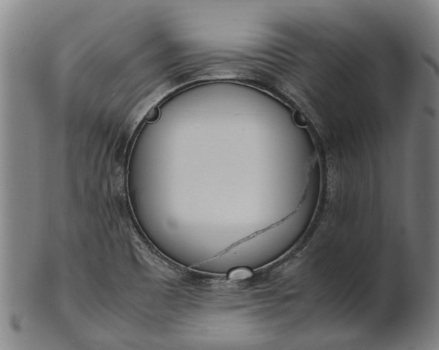 X0000101661465200807241407