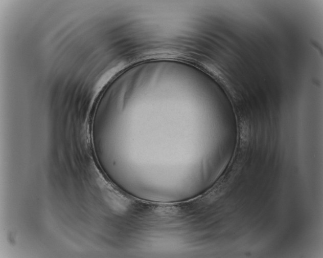 X0000101661466200807241406