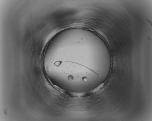 X0000101661467200807241406