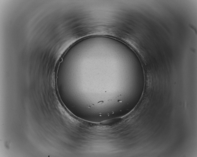 X0000101661468200807241406