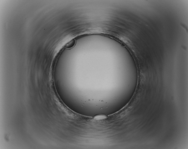 X0000101661469200807241406