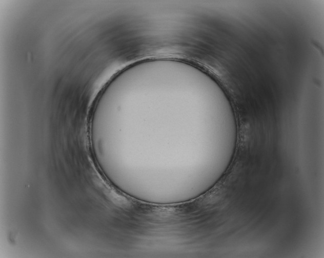 X0000101661470200807241406