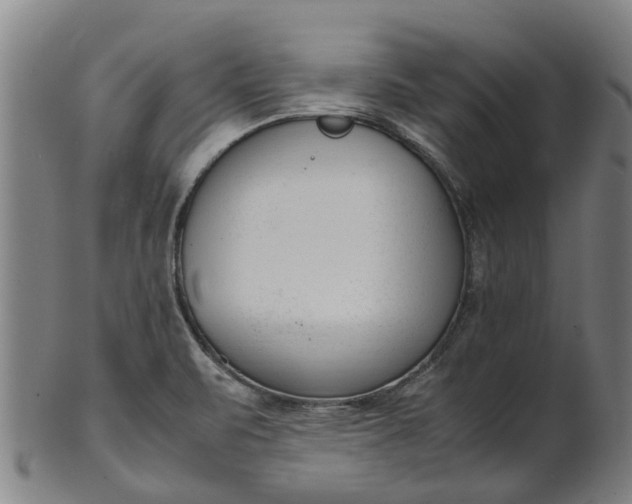 X0000101661471200807241406