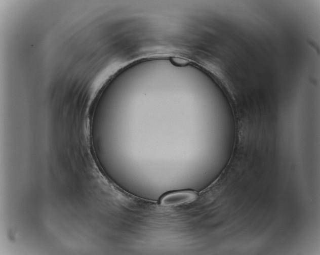 X0000101661472200807241406