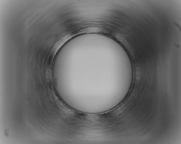 X0000101661473200807241406