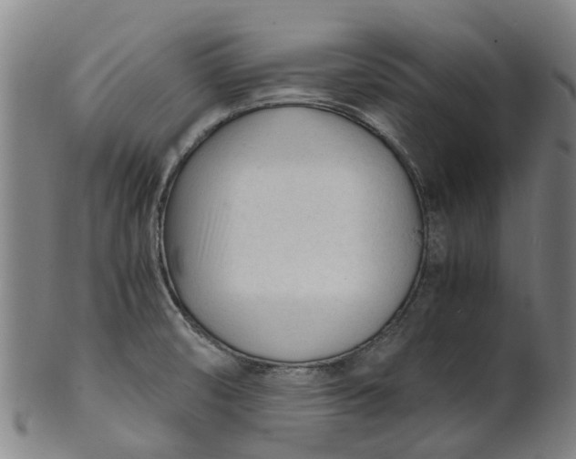 X0000101661474200807241406