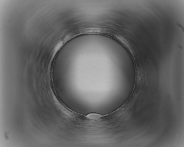 X0000101661475200807241406