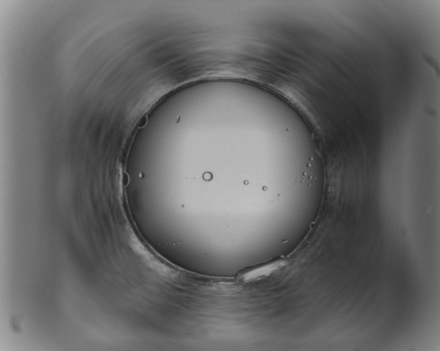 X0000101661476200807241406