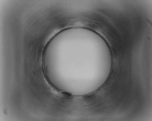 X0000101661477200807241406