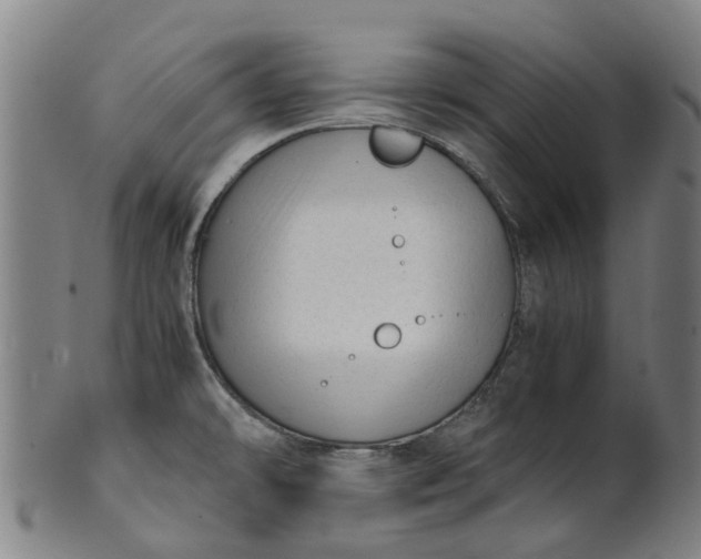 X0000101661478200807241406