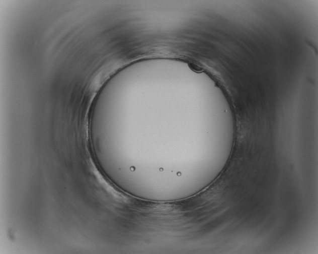 X0000101661479200807241406